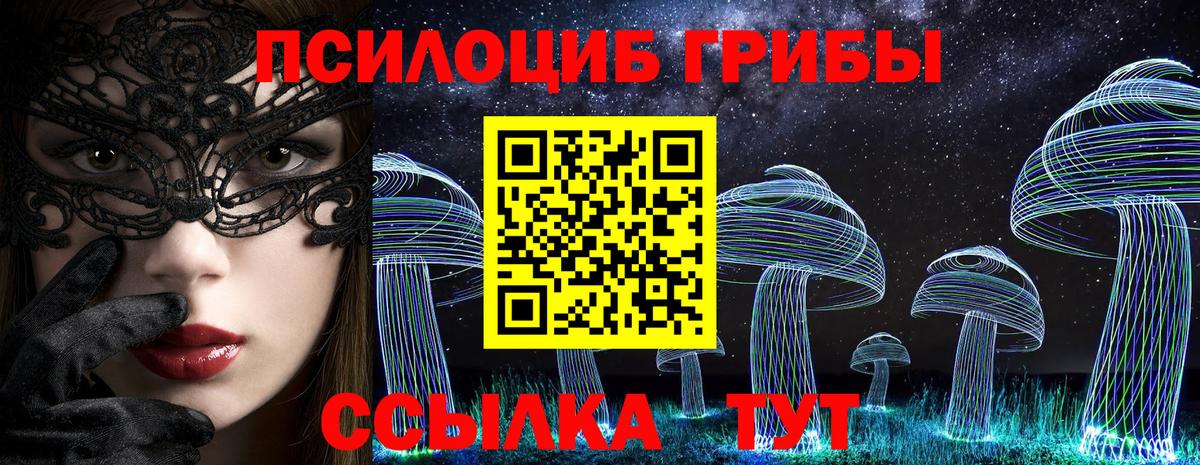 Псилоцибиновые грибы Cubensis Йошкар-Ола