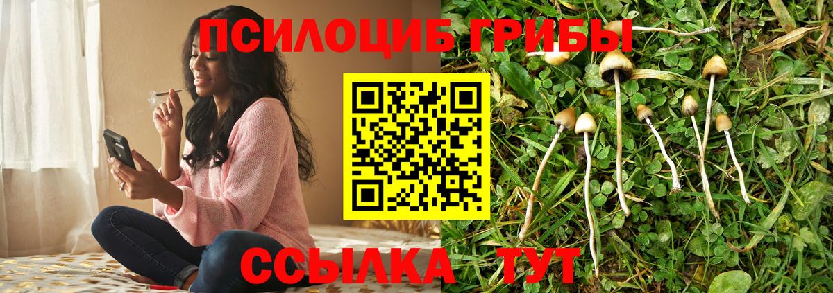 Галлюциногенные грибы мухоморы  Вход с VPN  Йошкар-Ола 
