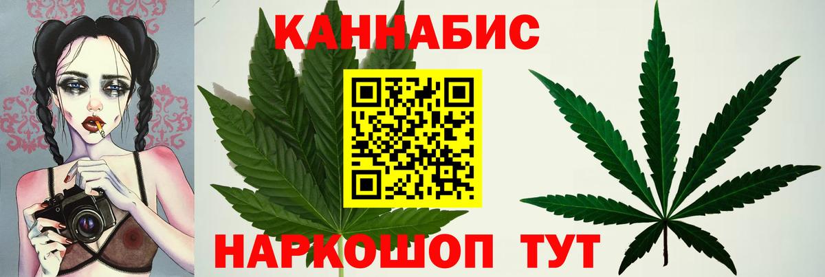 Бошки Шишки MAZAR Йошкар-Ола